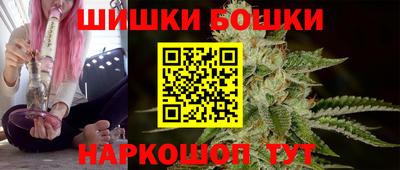 сатива Славгород