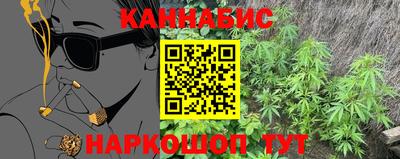 сатива Славгород