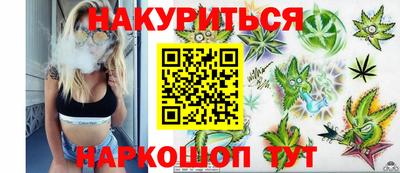 сатива Славгород