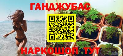 сатива Славгород