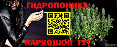 ECSTASY Сланцы
