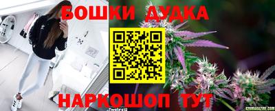 ECSTASY Сланцы
