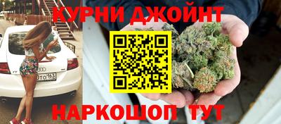 сатива Славгород